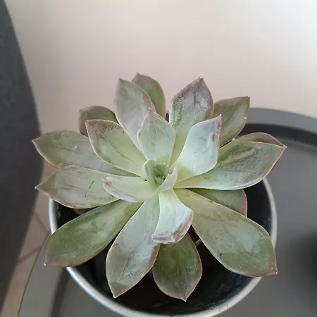 Hébergement de vacances Belle Vie à 30 Mètres De La Ver-sur-Mer