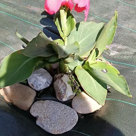 Hébergement de vacances Belle Vie à 30 Mètres De La *