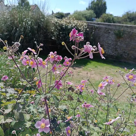 Hébergement de vacances Belle Vie à 30 Mètres De La Ver-sur-Mer
