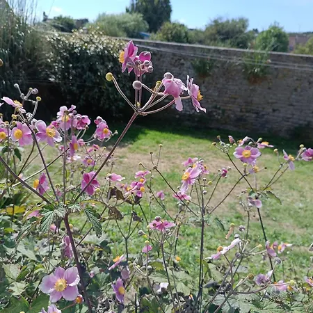 Belle Vie A 30 Metres De La Holiday home Ver-sur-Mer