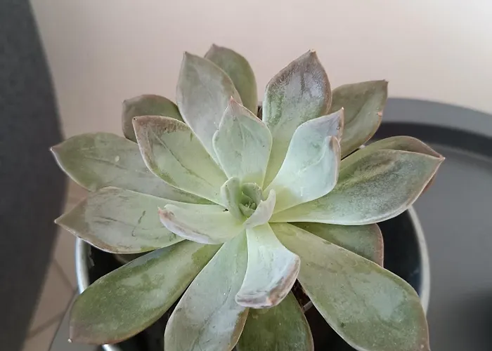 Nyaraló Belle Vie A 30 Metres De La Ver-sur-Mer