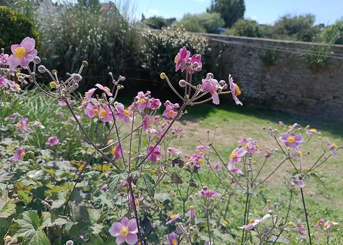 Nyaraló Belle Vie A 30 Metres De La Ver-sur-Mer